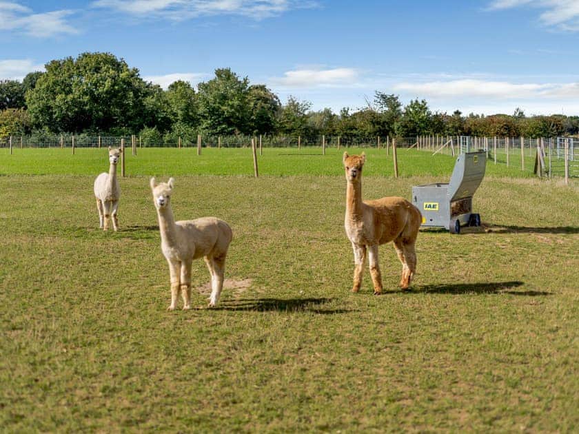 Surrounding area | Blackwell Barn, Raydon near Ipswich