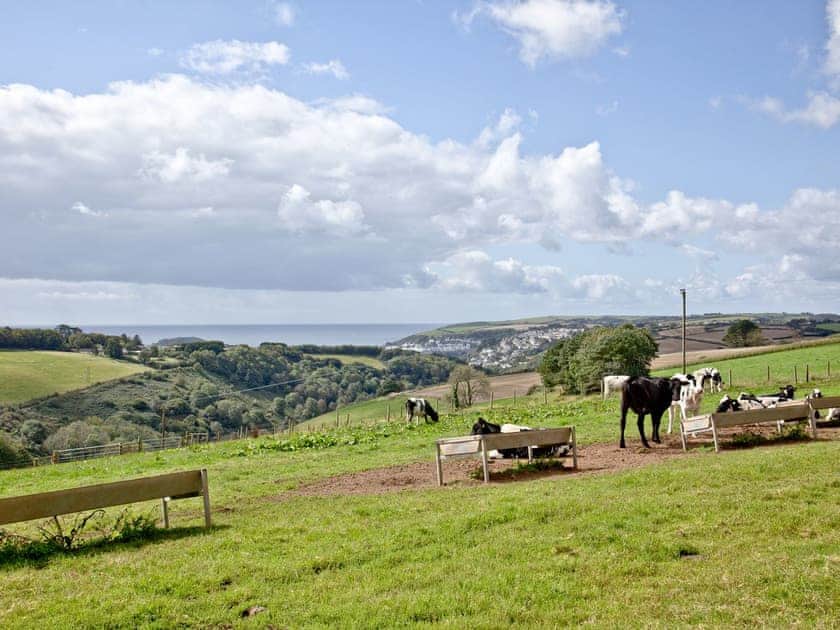 View | Stables - Summercourt Cottages, St Martin, n