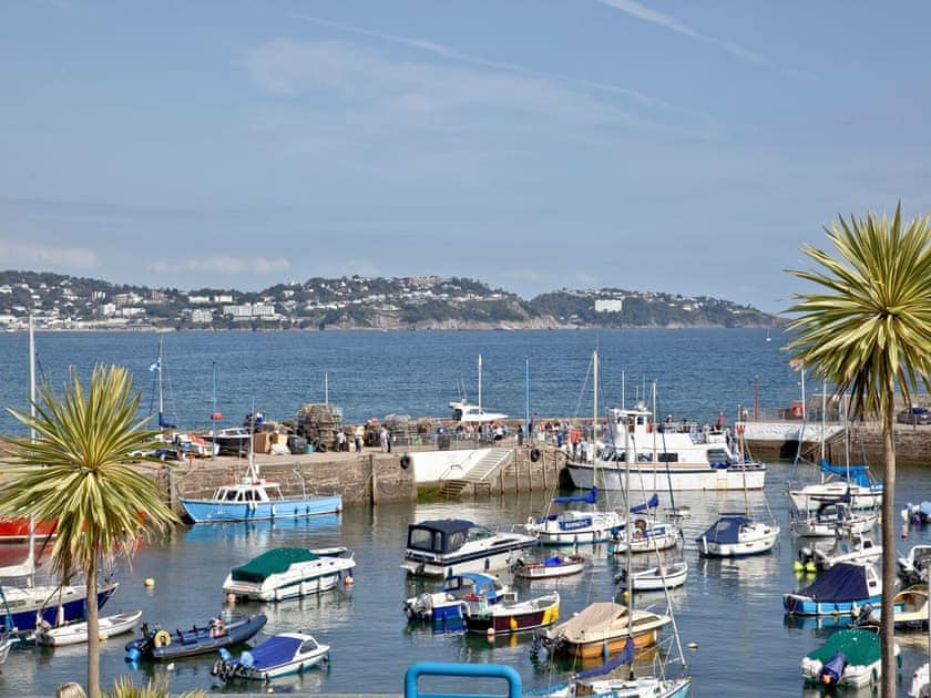 View | Herons Haven, Seagulls Rest - Harbourside Holiday Apartments - Herons Haven, Paignton
