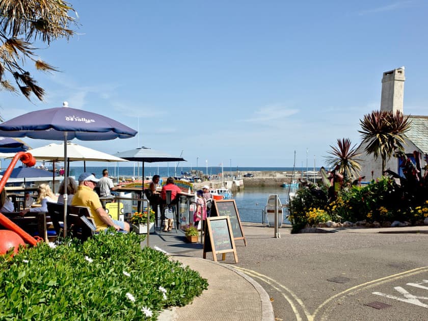Surrounding area | Herons Haven, Seagulls Rest - Harbourside Holiday Apartments - Herons Haven, Paignton
