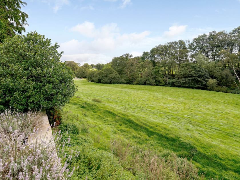 Surrounding area | Mill Race, Broughton, near Skipton