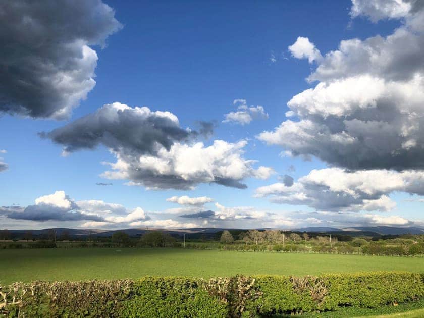View | Pheasant - Absolute Eden, Calthwaite, near Penrith