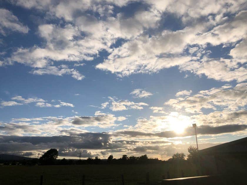 View | Pheasant - Absolute Eden, Calthwaite, near Penrith