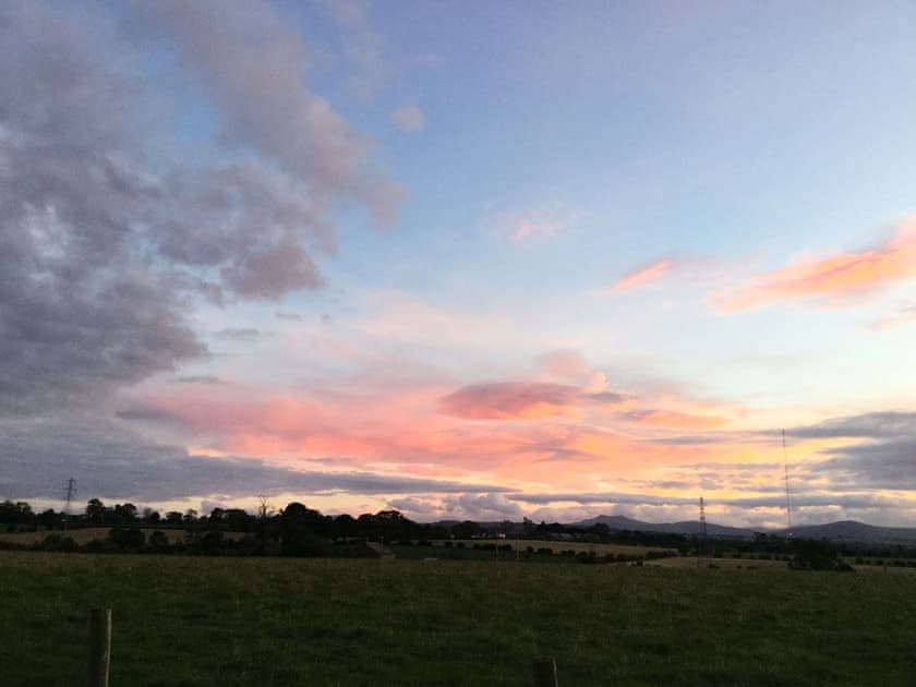 View | Pheasant - Absolute Eden, Calthwaite, near Penrith