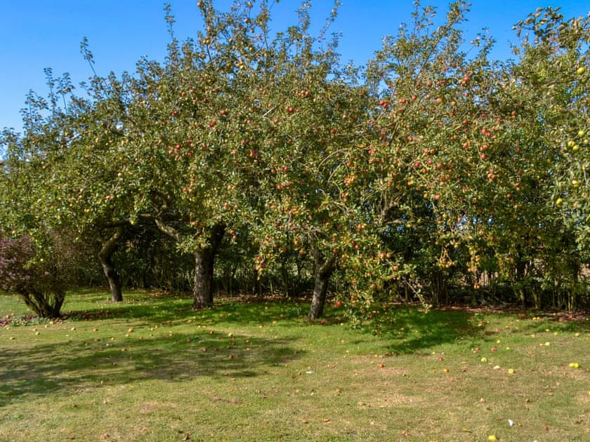 Garden and grounds | Miller’s Retreat - Windmill Barns, Heapham, near Gainsborough