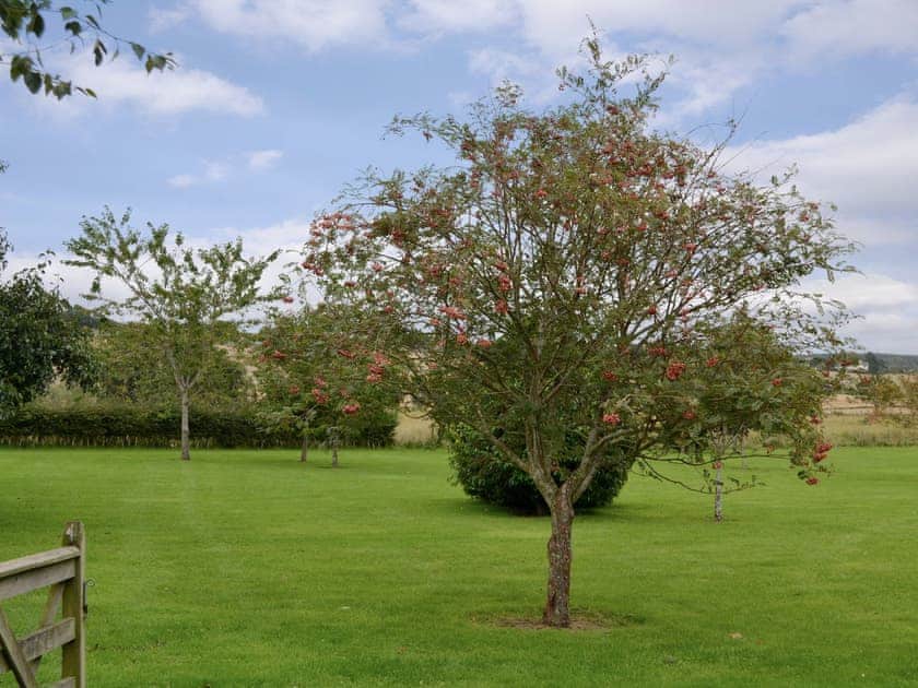 Garden | Grange Loft - Grange Holidays, Dundee