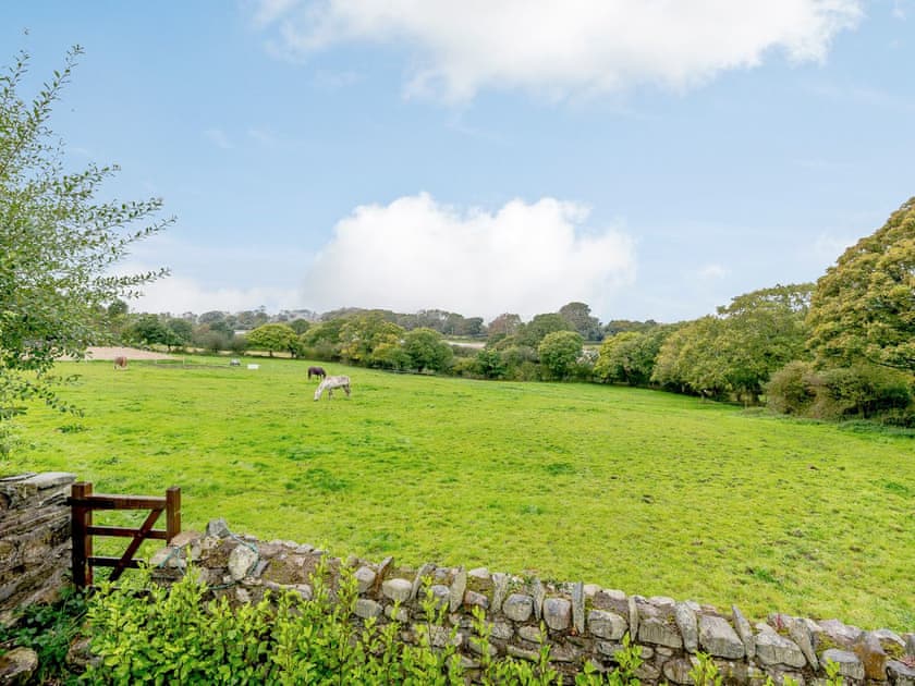 View | Ysgubor - Rhyddallt Ganol Cottages, Caethro, near Caernarfon
