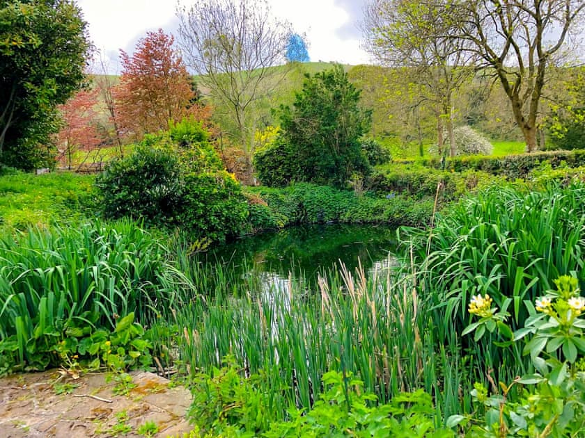 Garden and grounds | Tovey Lodge, Ditchling, near Hassocks