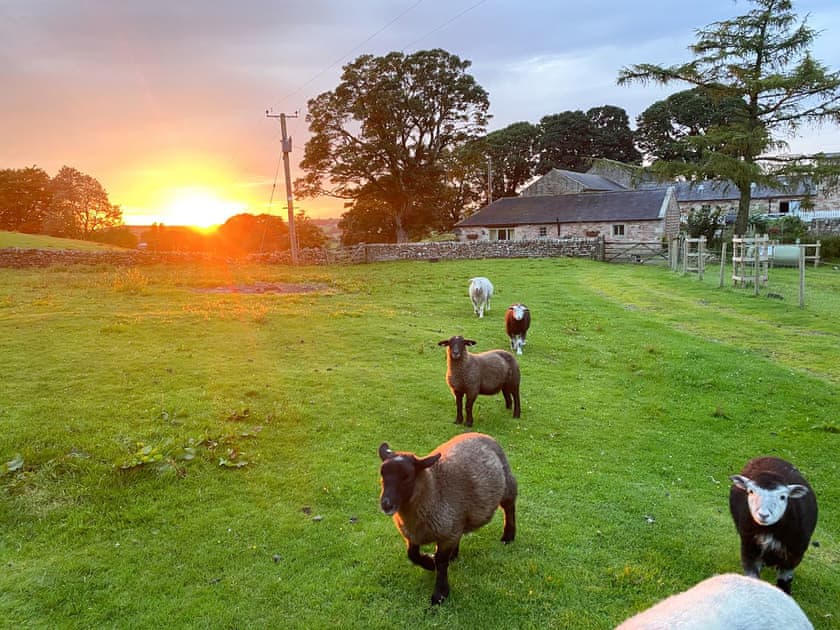 Surrounding area | Lily Rose Cottage, Gilsland, near Brampton