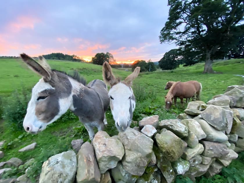 Surrounding area | Lily Rose Cottage, Gilsland, near Brampton