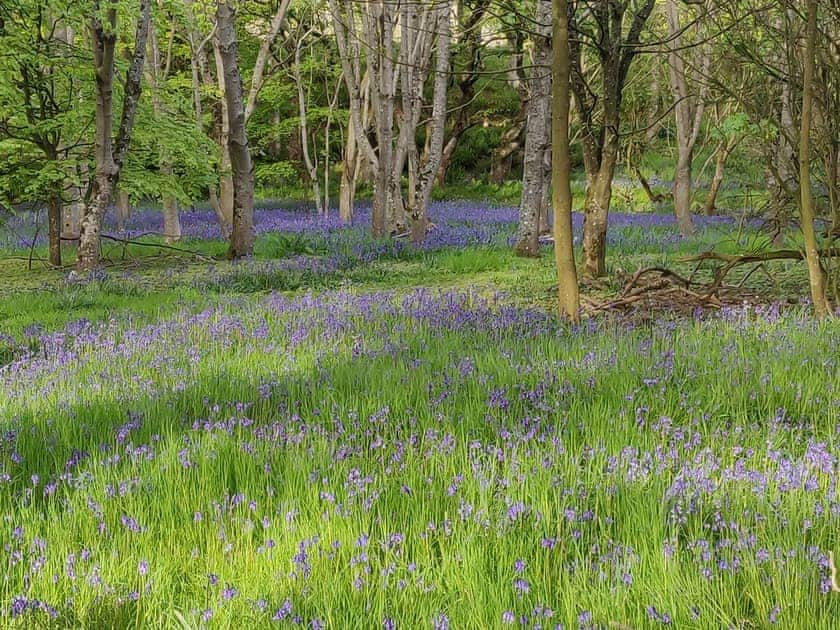 Extensive grounds | Dunskey Estate, Portpatrick, near Stranraer