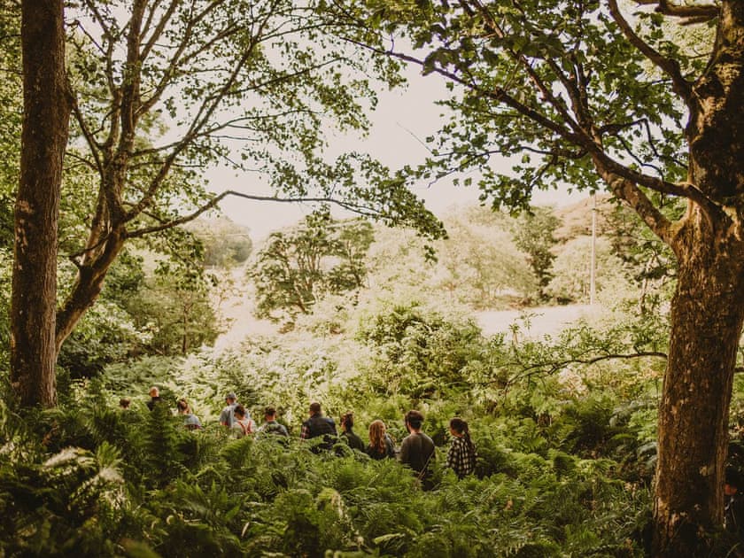 Woodland Walks | Dunskey Estate, Portpatrick, near Stranraer
