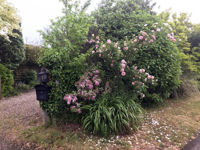 Garden | Alderley House, Bourton-on-the-Water