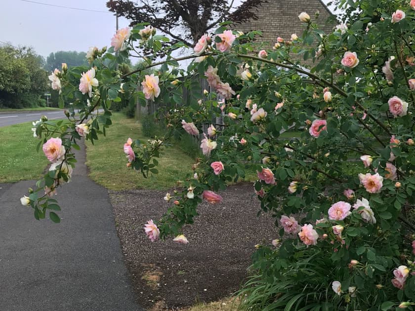 Garden | Alderley House, Bourton-on-the-Water