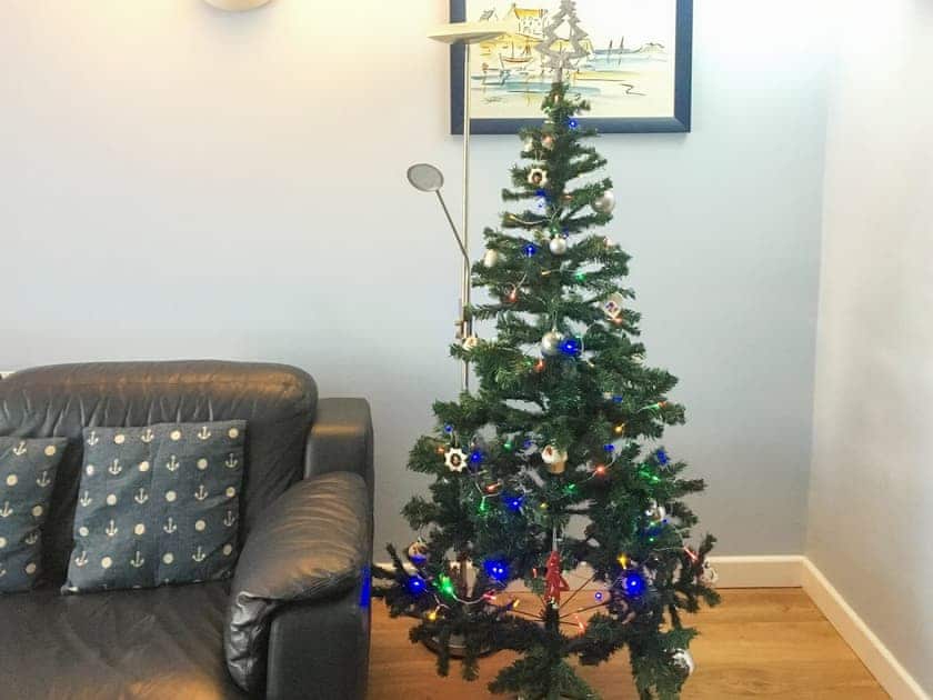 Christmas | Little Seahorse - Seahorses, Sheringham