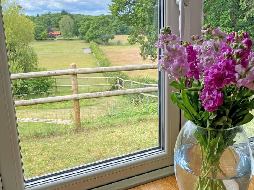 View | Weaver’s Lodge, North Gorley, near Fordingbridge