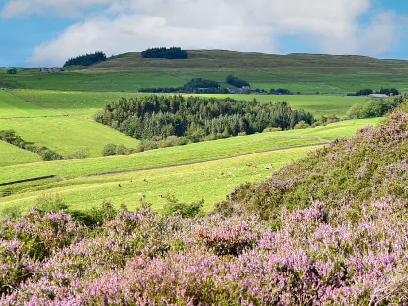 Surrounding area | Fern Cottage, Thorngrafton, near Bardon Mill