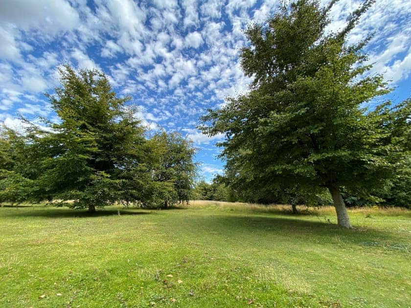 Outdoor area | Downwood, Near Blandford Forum