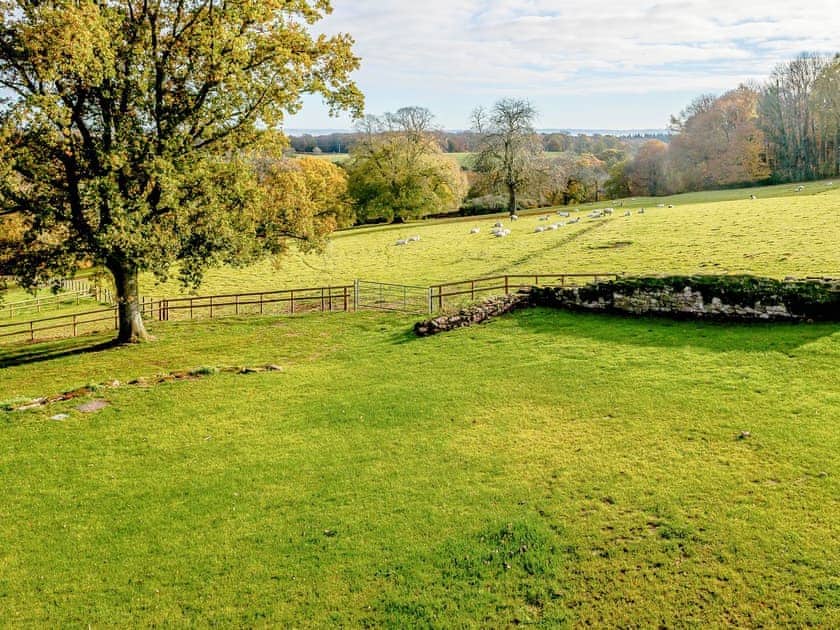 View | Priors Lodge Barns - Owl Barn - Priors Lodge Barns , Bream, near Lydney