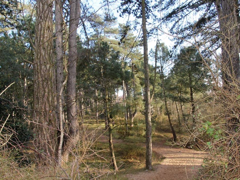 Surrounding area | Crow’s Nest, Wells-next-the-Sea