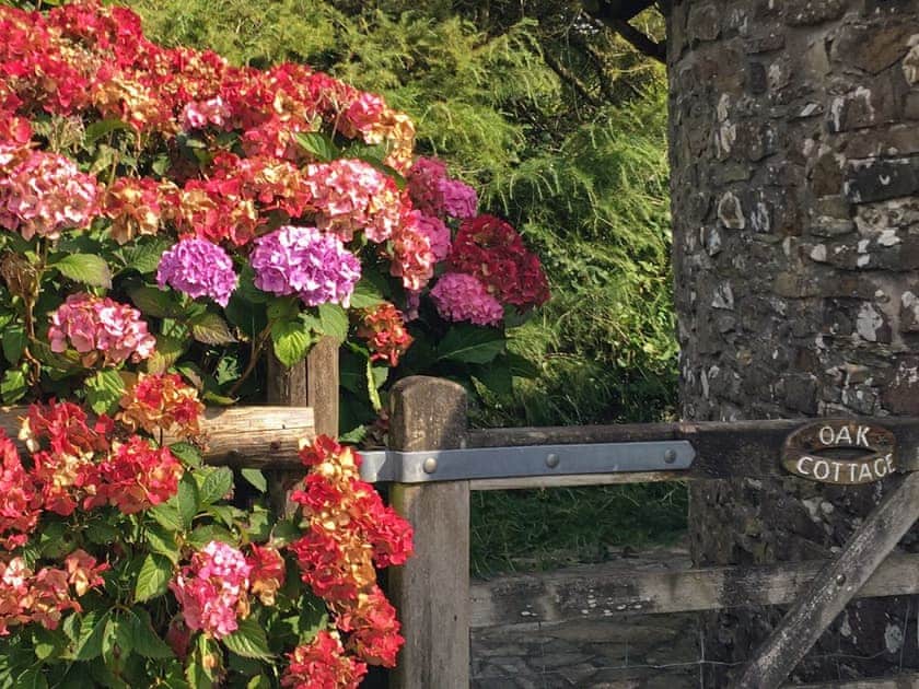 Garden and grounds | Oak Cottage, Woolsery, near Bideford