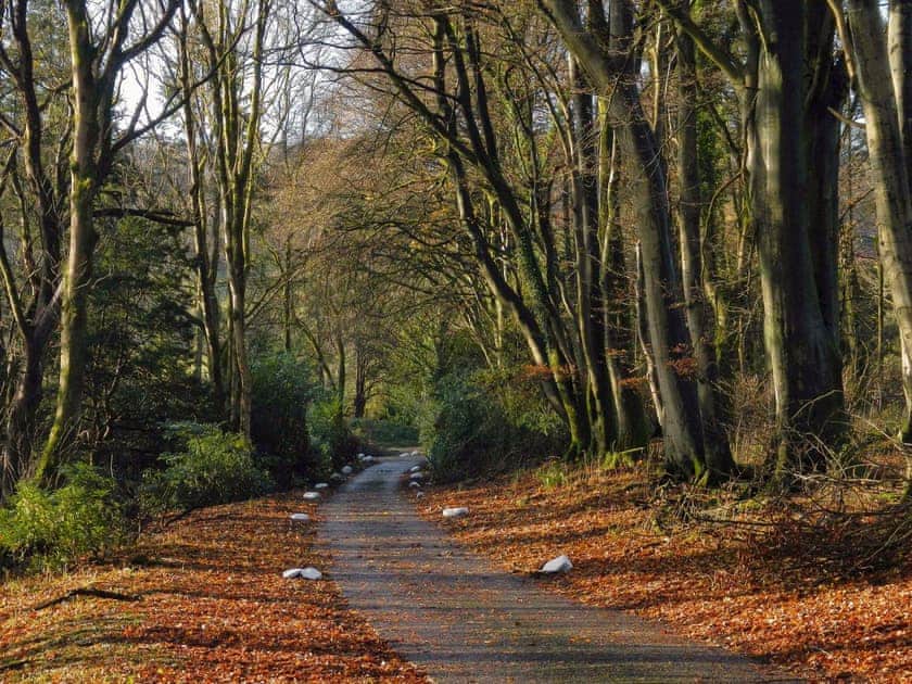 Garden and grounds | Machermore Castle - Machermore Castle, Newton Stewart