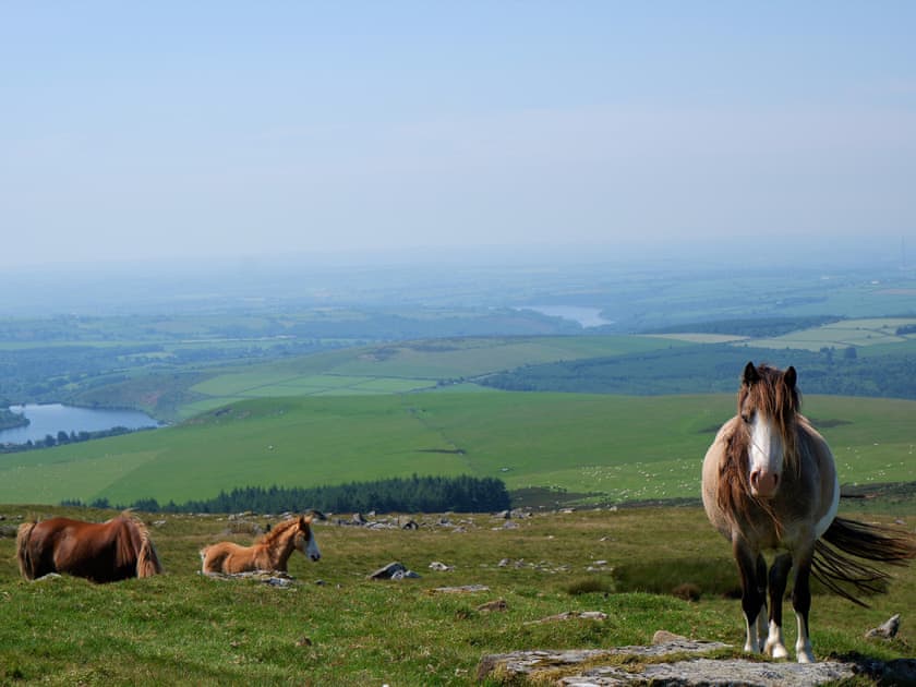 Preseli Mountains  | The Cart Shed - Longlands Farm Cottages, Haverfordwest, near Narberth