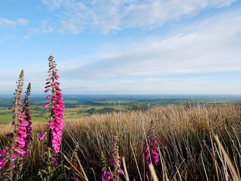 Surrounding area | The Corn Loft - Longlands Farm Cottages, Haverfordwest, near Narberth