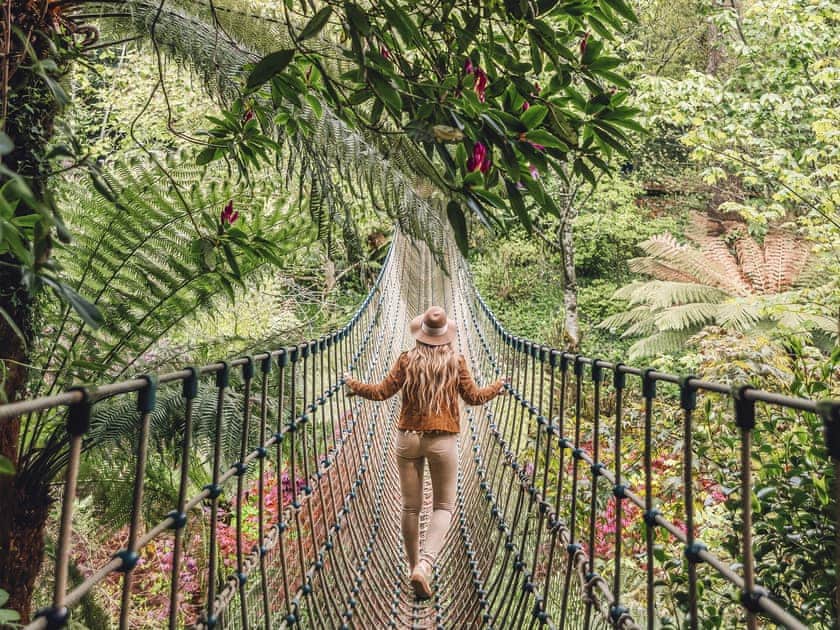 The Burmese rope bridge in The Lost Gardens of Heligan
