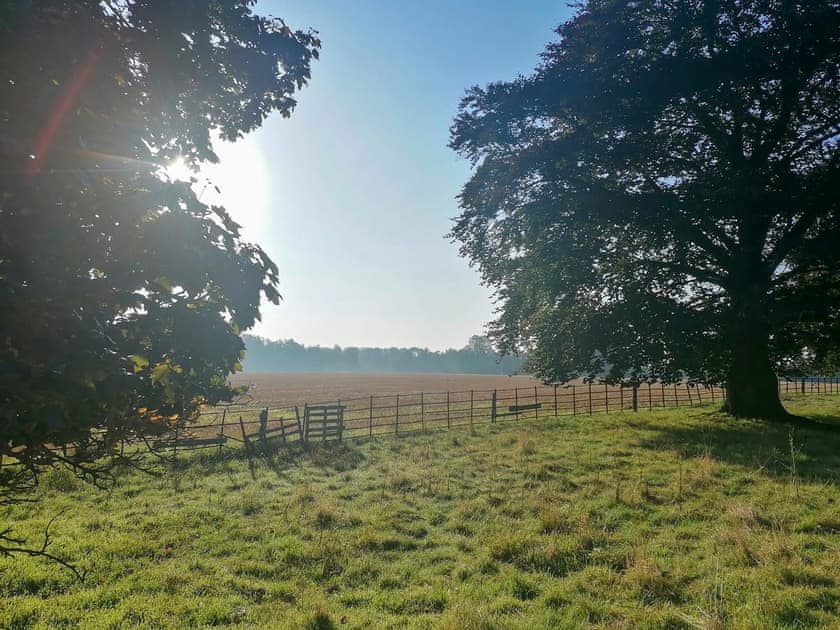 Surrounding area | Apple Loft, Nordham, near Beverley