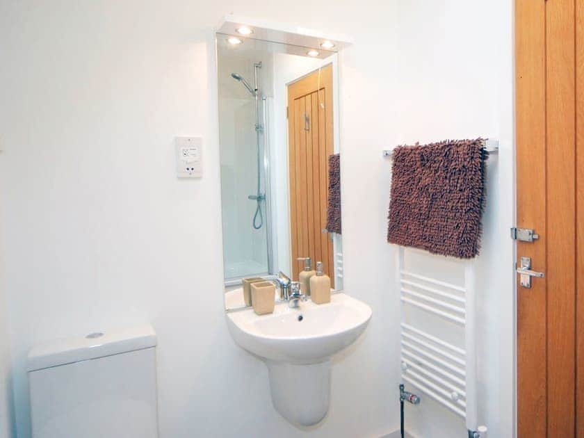 Shower room | Ivy Cottage - Blagdon House Country Cottages, Blagdon, near Paignton