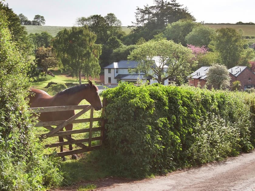 Surrounding area | Cherry Cottage - Blagdon House Country Cottages, Blagdon, near Paignton