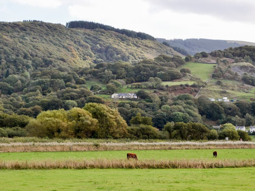 Surrounding area | Treetops, Arthog, near Dolgellau