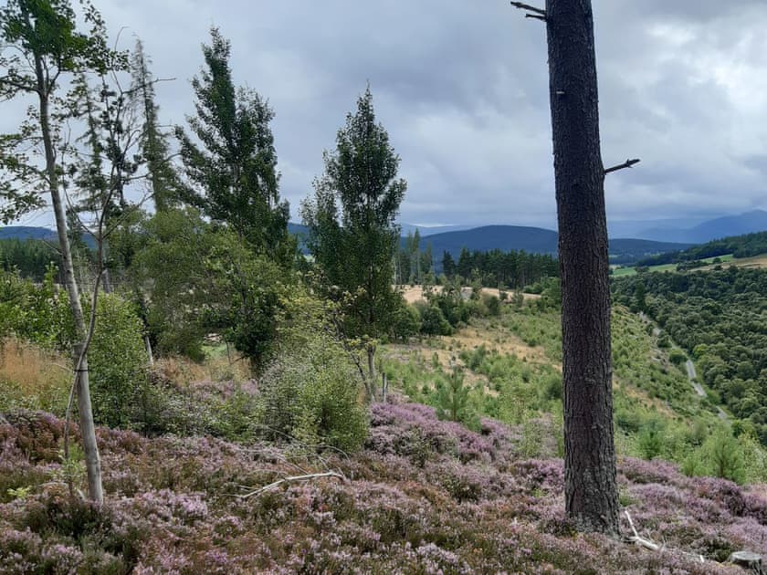 Surrounding area | Cedar Cottage, Grantown-on-Spey