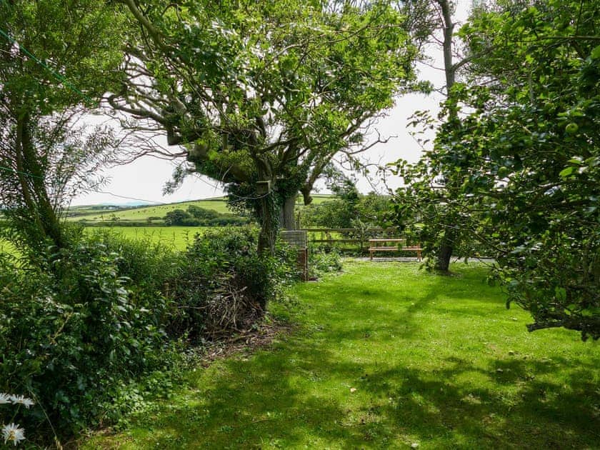 Garden | Gardd Efa, Llanfaethlu, near Holyhead