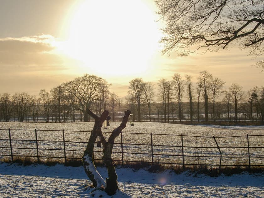 View | The Tranquil Orchard - Woodpecker Lodge - The Tranquil Orchard , Brocklehirst, near Dumfries