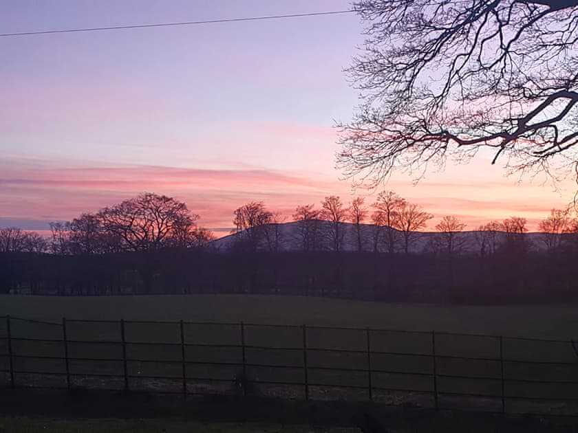 View | The Tranquil Orchard - Woodpecker Lodge - The Tranquil Orchard , Brocklehirst, near Dumfries
