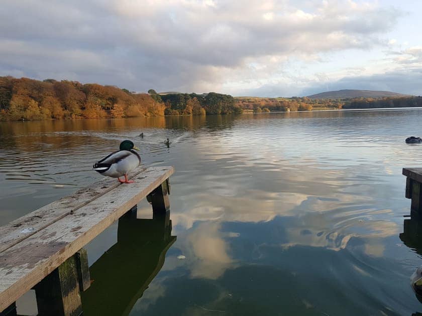 Talkin Tarn | West View, Castle Carrock, near Brampton