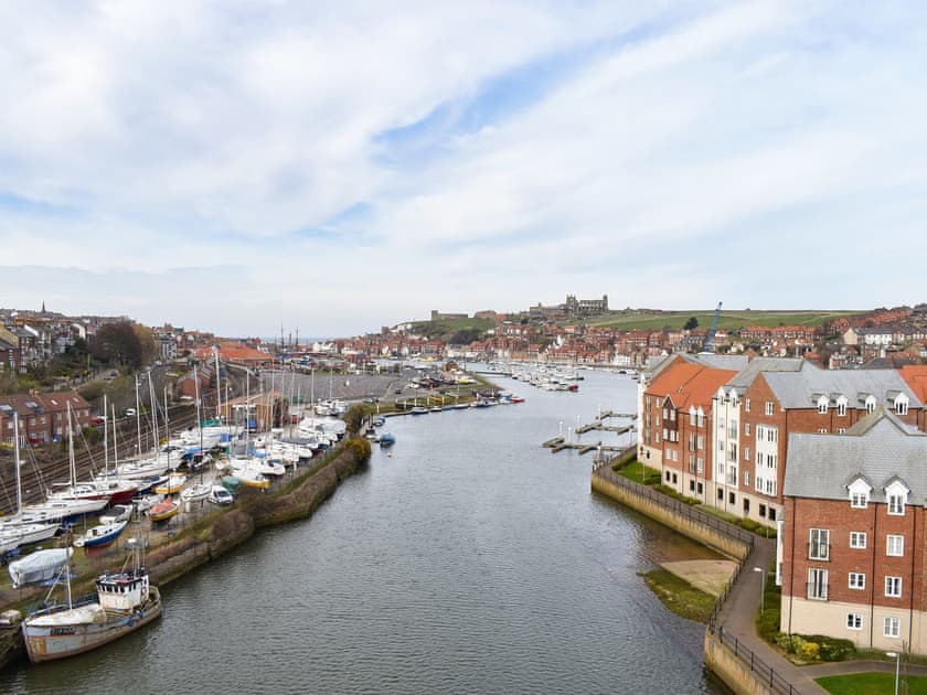 Setting | Snugg, Whitby
