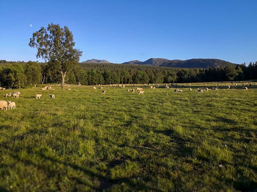 Surrounding area | Rhinabaich, Ballater