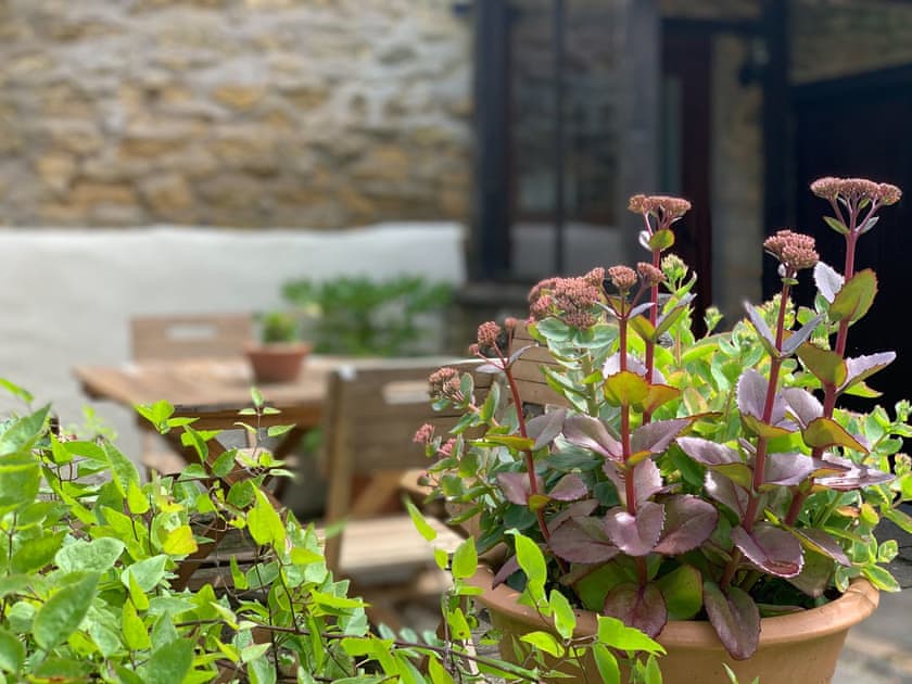 Garden | Grain End - Granary Farm Cottages, Sawdon, near Scarborough