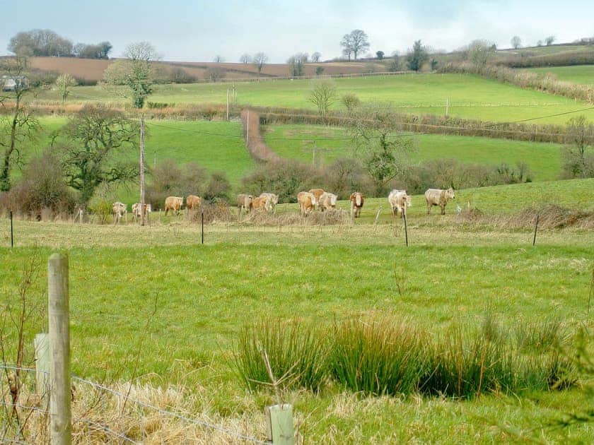 Surrounding area | Swift - Newhouse Barton, Ipplepen, near Totnes