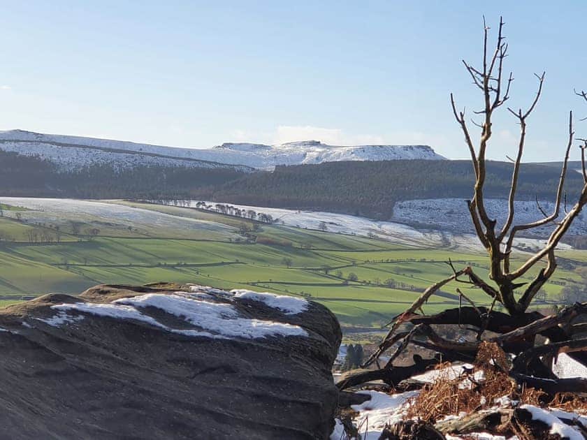 Setting | Copper Beech Cottages, Rothbury