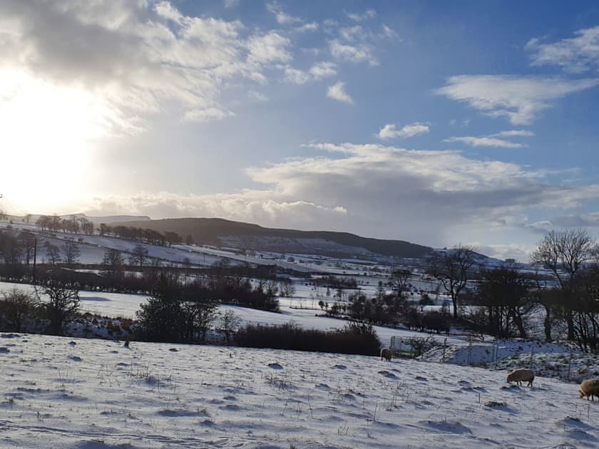 Setting | Copper Beech Cottages, Rothbury