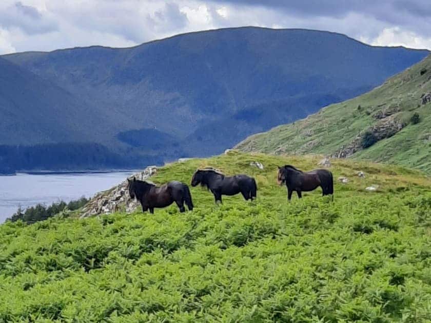 Surrounding area | Haweswater Cottage, Bampton near Penrith