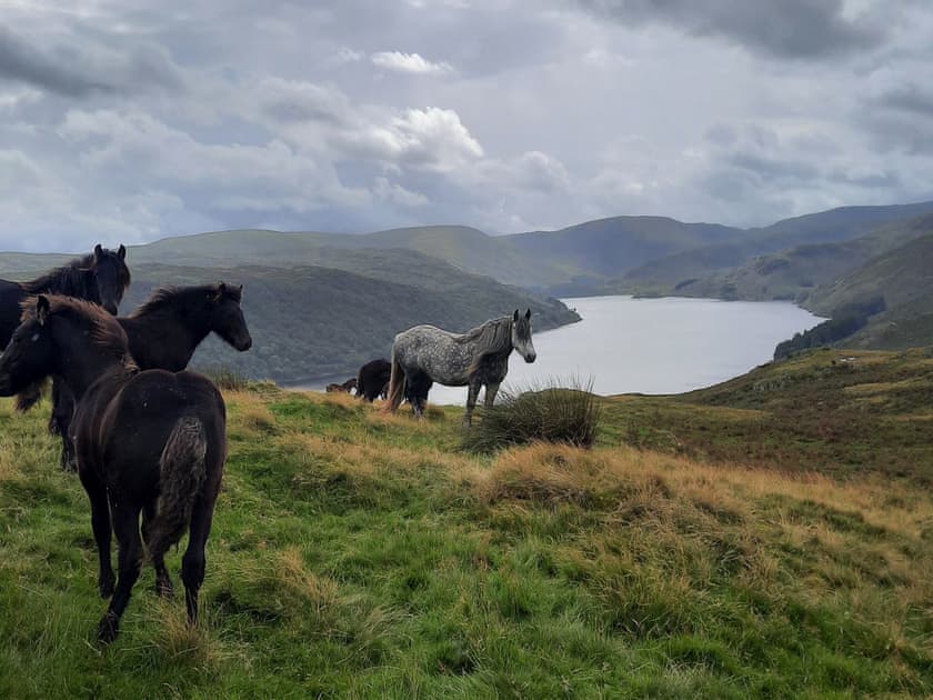 Surrounding area | Haweswater Cottage, Bampton near Penrith
