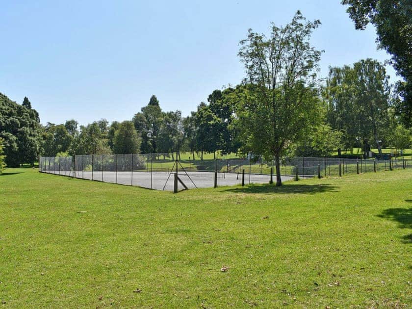 Surrounding area | Dandelions, Newton Abbot