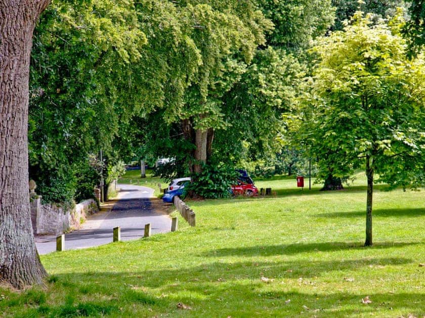 Surrounding area | Dandelions, Newton Abbot