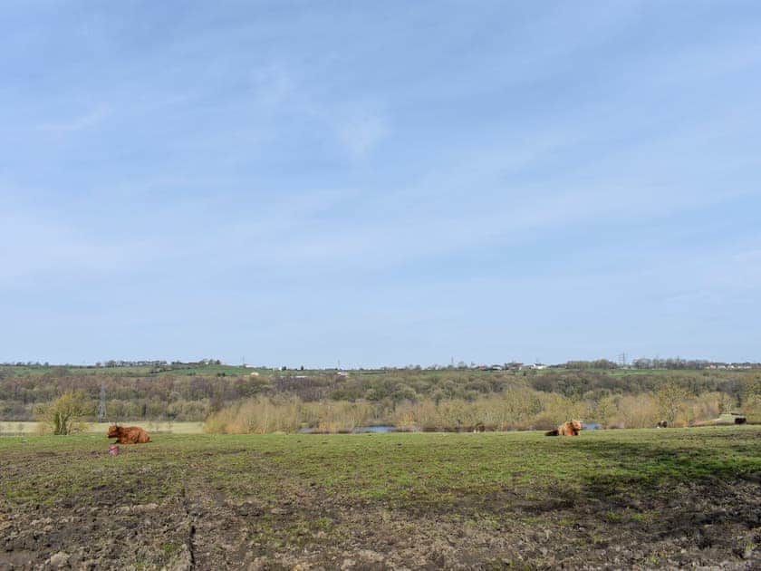 Surrounding area | Old Stables Cottage, Escomb, near Bishop Auckland