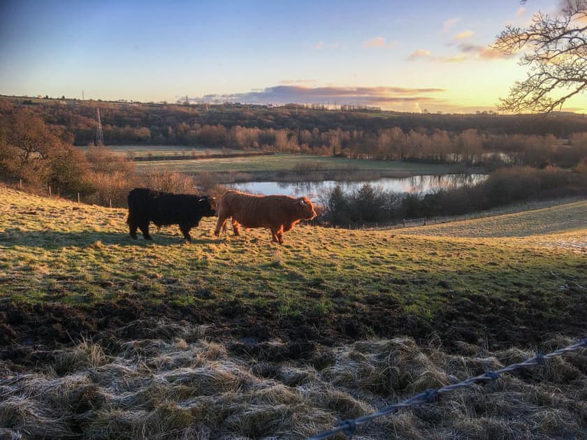 Surrounding area | Old Stables Cottage, Escomb, near Bishop Auckland